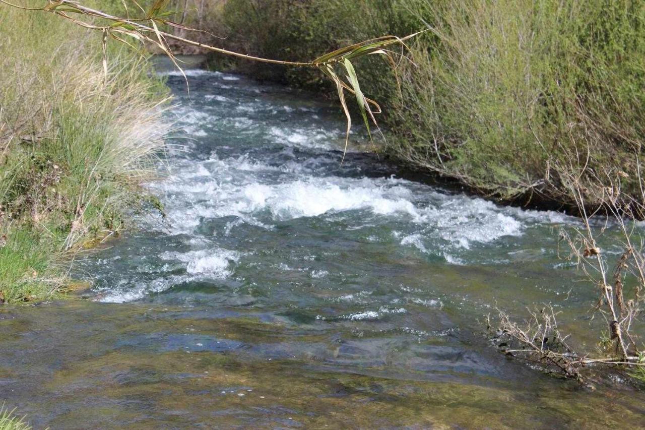El Americano Y Disfruta De Lo Natural * Albentosa